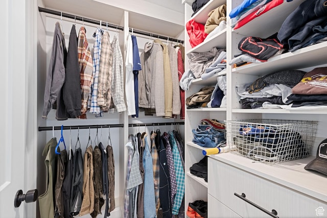 238 W Founders Blvd, Saratoga Springs, UT 84045 - view of spacious closet