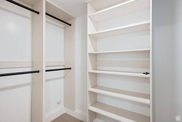 238 W Founders Blvd, Saratoga Springs, UT 84045 - spacious closet featuring carpet