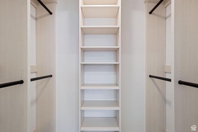238 W Founders Blvd, Saratoga Springs, UT 84045 - view of spacious closet