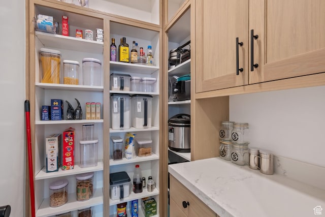 238 W Founders Blvd, Saratoga Springs, UT 84045 - view of pantry