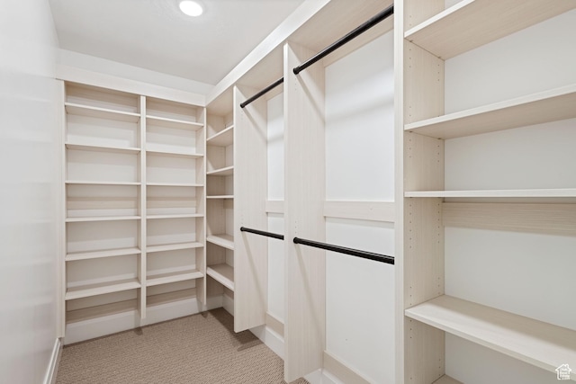 238 W Founders Blvd, Saratoga Springs, UT 84045 - walk in closet with carpet floors