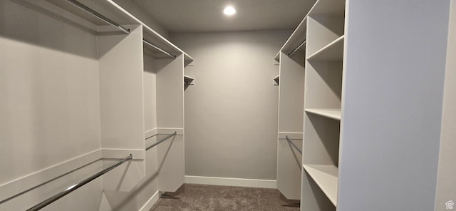 201 W 1300 S Unit 32, Tremonton, UT 84337 - spacious closet featuring dark colored carpet