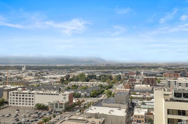 48 W 300 S Unit 2204-N, Salt Lake City, UT 84101 - view of city
