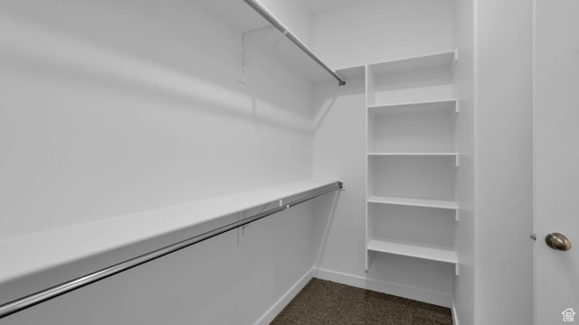 6311 W Butte County Dr S Unit 448, Herriman, UT 84096 - view of walk in closet