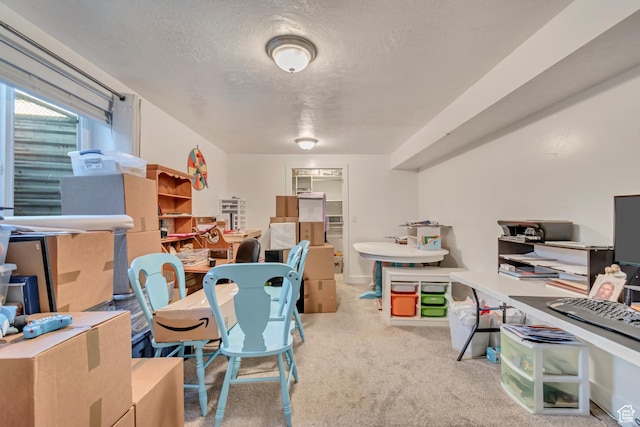 77 E 1100 N, Pleasant Grove, UT 84062 - office featuring carpet and a textured ceiling