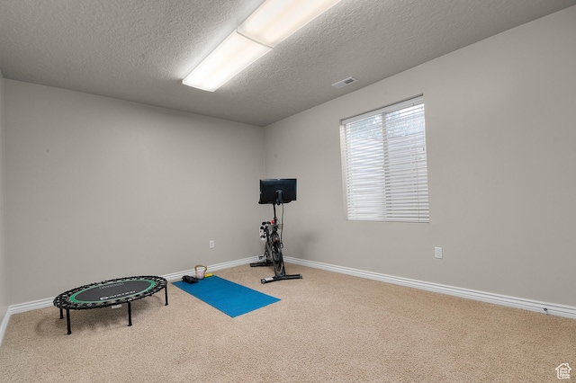 11709 S Grandville Ave, South Jordan, UT 84009 - workout area with carpet and a textured ceiling