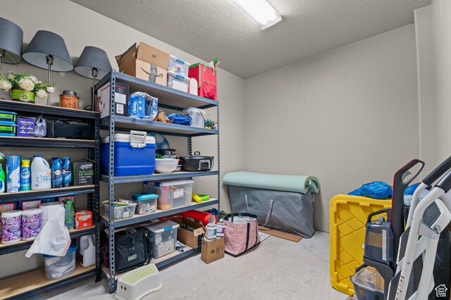 11709 S Grandville Ave, South Jordan, UT 84009 - view of storage