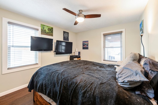 2348 Iowa Ave, Ogden, UT 84401 - bedroom with multiple windows, wood finished floors, baseboards, and ceiling fan