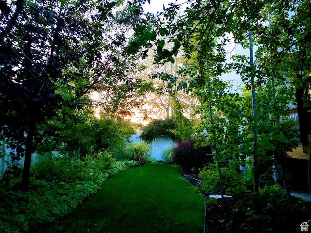 8377 S Wild Oak Dr, West Jordan, UT 84088 - view of yard