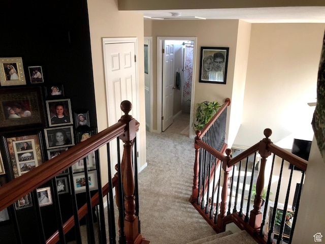 8377 S Wild Oak Dr, West Jordan, UT 84088 - corridor featuring an upstairs landing and carpet flooring