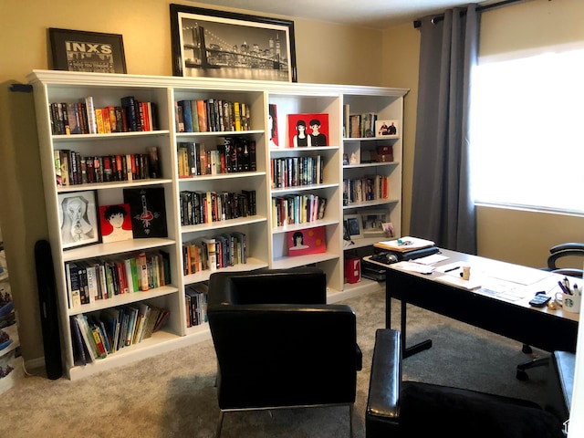 8377 S Wild Oak Dr, West Jordan, UT 84088 - office space with carpet floors