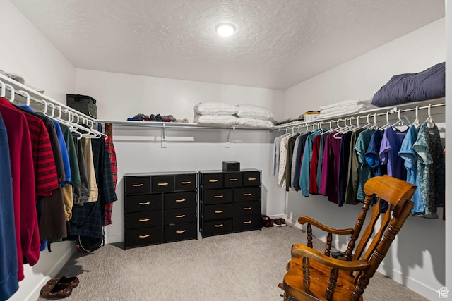 415 W 1410 N Unit 81, Tooele, UT 84074 - spacious closet with carpet flooring