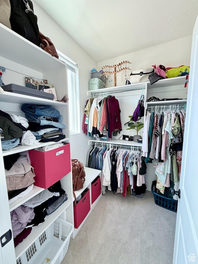 walk in closet with carpet floors