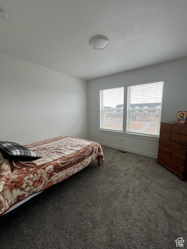 933 N 960 W Street W W 4, Tremonton, UT 84337 - bedroom with carpet flooring, baseboards, multiple windows, and a textured ceiling