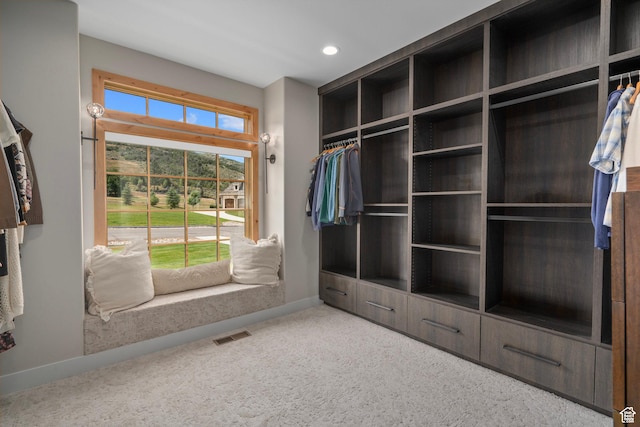 915 Farrell Farm Cir, Midway, UT 84049 - spacious closet featuring visible vents and carpet floors