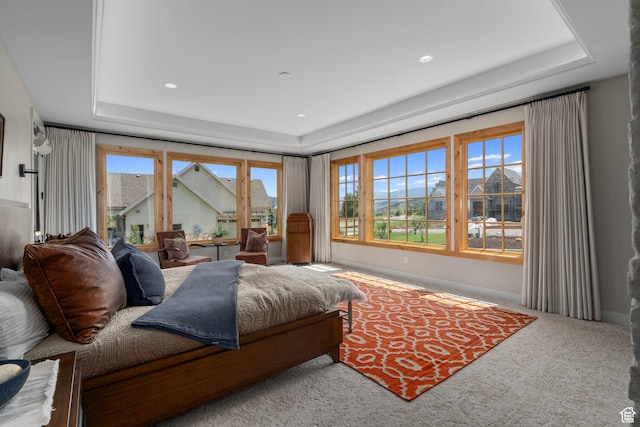915 Farrell Farm Cir, Midway, UT 84049 - bedroom featuring a raised ceiling, recessed lighting, and carpet floors