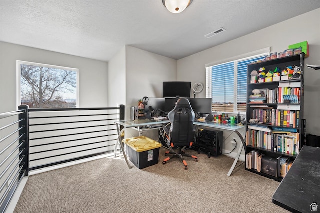 1490 N 4925 W, Plain City, UT 84404 - carpeted office featuring visible vents and a textured ceiling