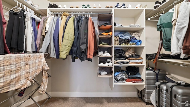1606 N 4230 W, Lehi, UT 84043 - walk in closet with carpet floors