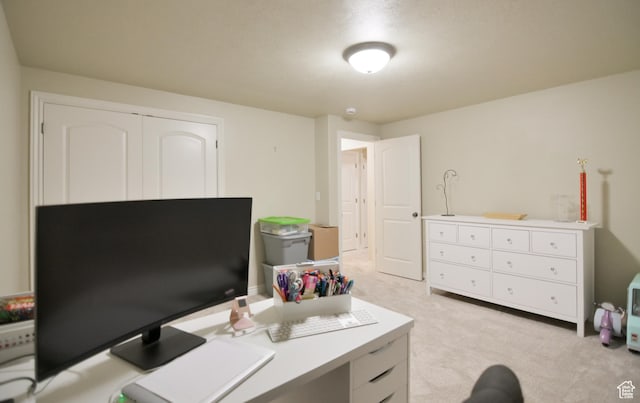 3131 E River Bottoms Rd S, Spanish Fork, UT 84660 - office with light carpet