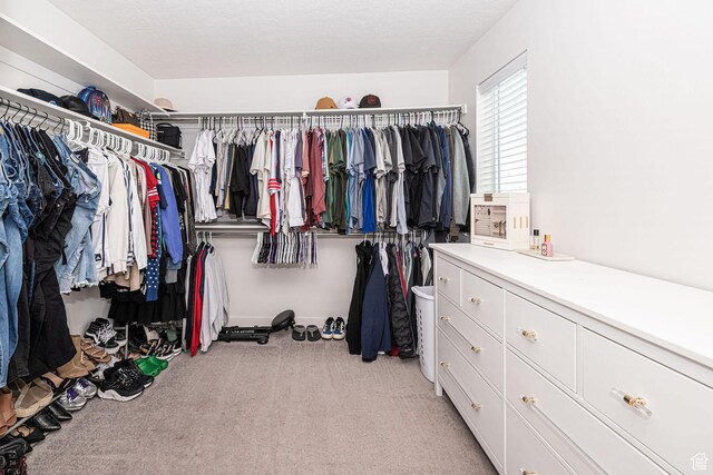 198 W Box Creek Dr, Stansbury Park, UT 84074 - spacious closet featuring light colored carpet
