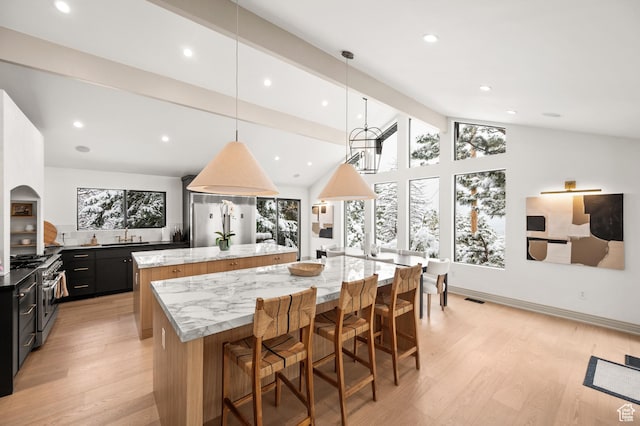2651 E Hiawatha Cir, Salt Lake City, UT 84108 - kitchen featuring lofted ceiling with beams, light wood-type flooring, premium appliances, a large island, and dark cabinets