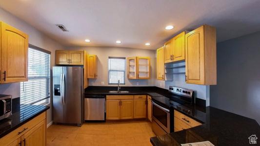 11 W Robert Ave, South Salt Lake, UT 84115 - kitchen featuring appliances with stainless steel finishes, a sink, healthy amount of natural light, glass insert cabinets, and recessed lighting