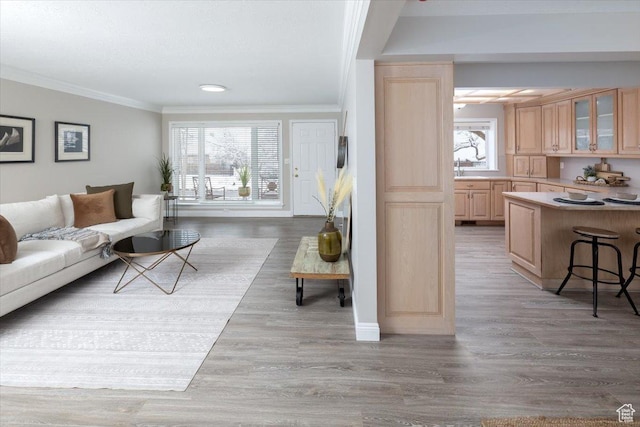 living room with baseboards, light wood-type flooring, and ornamental molding