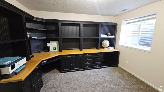 135 E 1200 N, Mapleton, UT 84664 - office featuring baseboards, carpet floors, a textured ceiling, and visible vents