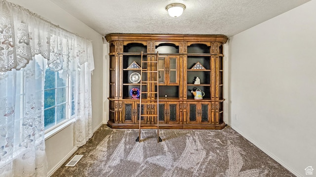 135 E 1200 N, Mapleton, UT 84664 - interior space with carpet flooring, a textured ceiling, baseboards, and visible vents
