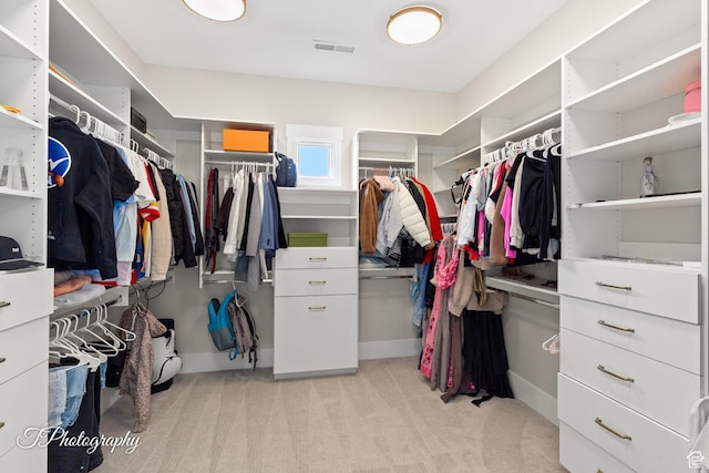 2092 S 3010 E, St George, UT 84790 - spacious closet featuring visible vents and light carpet