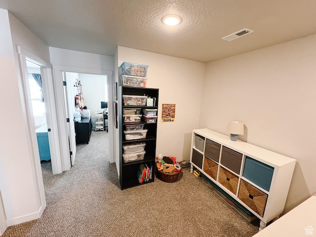 1788 N 1280 E, Payson, UT 84651 - rec room with visible vents, carpet floors, and a textured ceiling