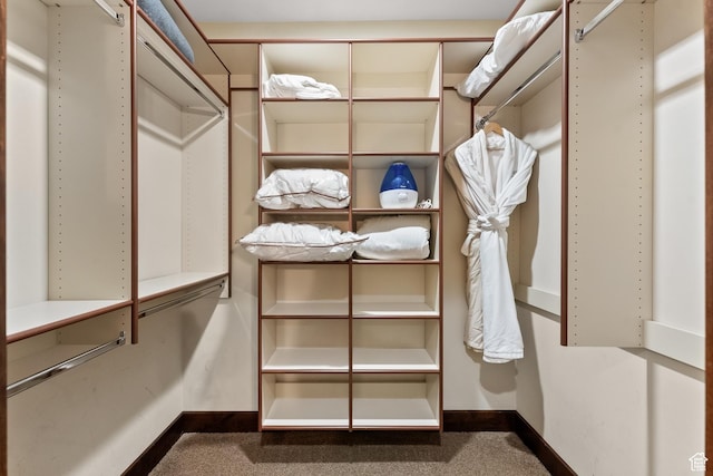 spacious closet with carpet flooring