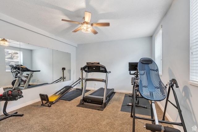 workout room with carpet, a ceiling fan, baseboards, and a textured ceiling