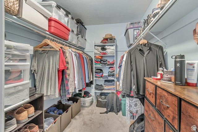 view of spacious closet