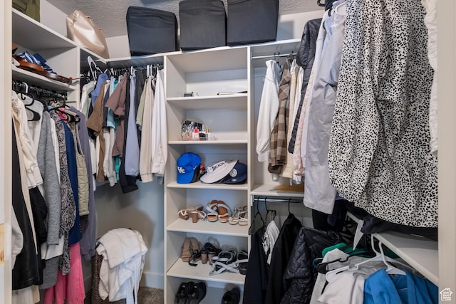 1073 E 1060 S, Provo, UT 84606 - view of spacious closet