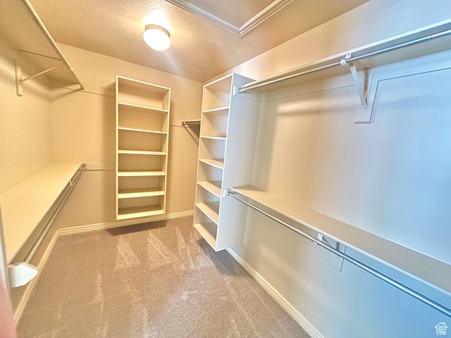 3427 N 2500 W, Farr West, UT 84404 - spacious closet featuring carpet flooring
