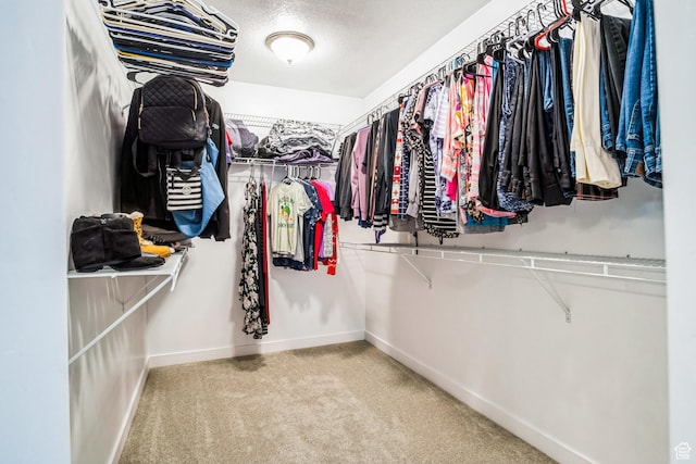 5731 W Osprey Dr, Stansbury Park, UT 84074 - spacious closet featuring carpet