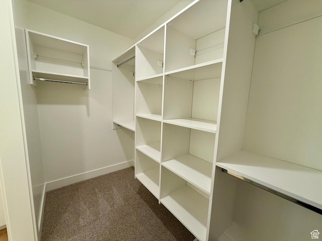 3366 S 1010 W, Nibley, UT 84321 - walk in closet with dark carpet