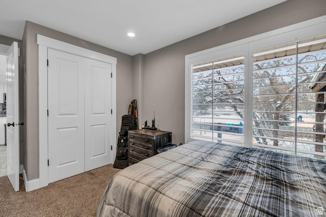 1411 E Elm Leaf Cv, Salt Lake City, UT 84117 - bedroom with a closet and carpet flooring
