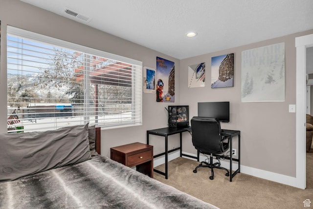 1411 E Elm Leaf Cv, Salt Lake City, UT 84117 - bedroom with baseboards, visible vents, carpet floors, and a textured ceiling
