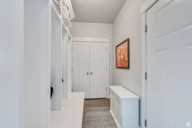 11702 S Water Brook Ct, South Jordan, UT 84095 - corridor with light wood-type flooring
