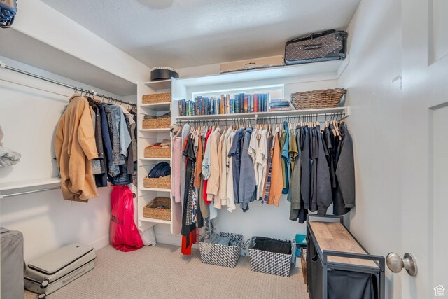 11702 S Water Brook Ct, South Jordan, UT 84095 - walk in closet with carpet