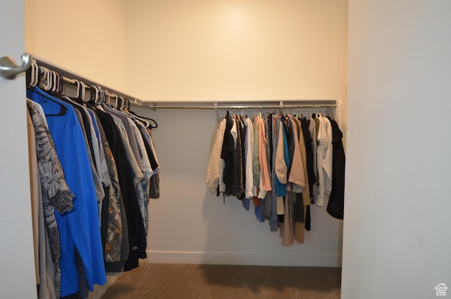 10717 S Haven Vista Dr, South Jordan, UT 84095 - spacious closet featuring carpet floors