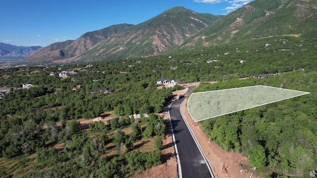 1020 Bear Hollow Dr Unit 136, Woodland Hills, UT 84653