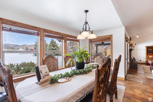 dining space with a notable chandelier, a healthy amount of sunlight, lofted ceiling, and wood finished floors