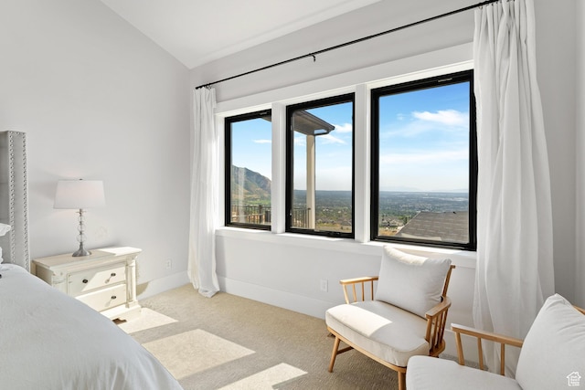bedroom featuring baseboards, carpet flooring, and vaulted ceiling