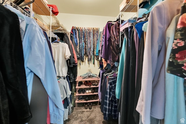 600 E 200 N, Mount Pleasant, UT 84647 - spacious closet with carpet flooring