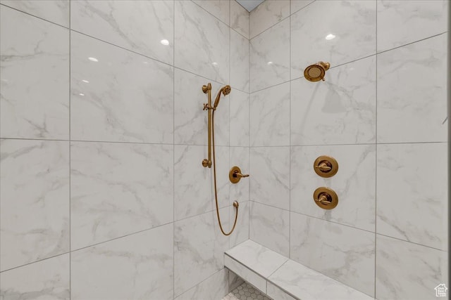 2255 S Hill Rd Unit 14, St George, UT 84790 - bathroom featuring tiled shower