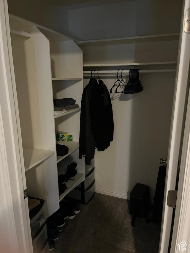 464 N 1000 E, Spanish Fork, UT 84660 - view of walk in closet