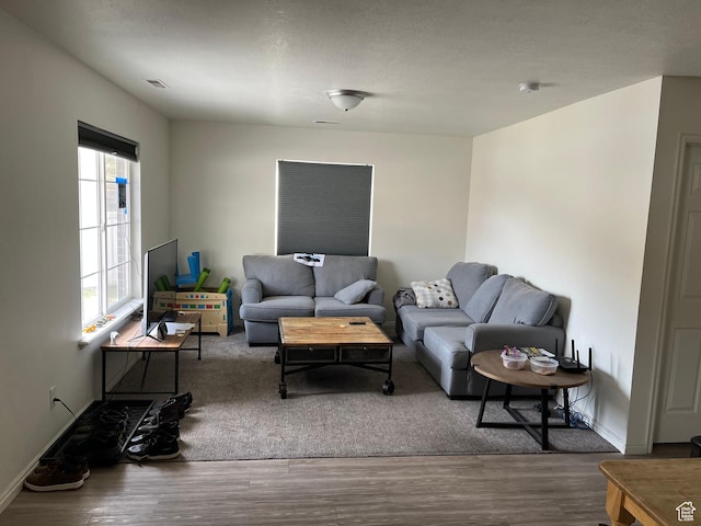 464 N 1000 E, Spanish Fork, UT 84660 - living room featuring baseboards and wood finished floors